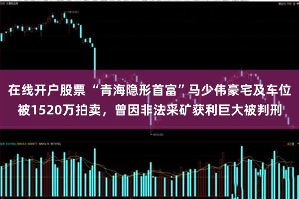 在线开户股票 “青海隐形首富”马少伟豪宅及车位被1520万拍卖，曾因非法采矿获利巨大被判刑