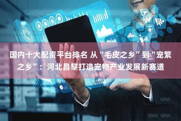 国内十大配资平台排名 从“毛皮之乡”到“宠繁之乡”：河北昌黎打造宠物产业发展新赛道