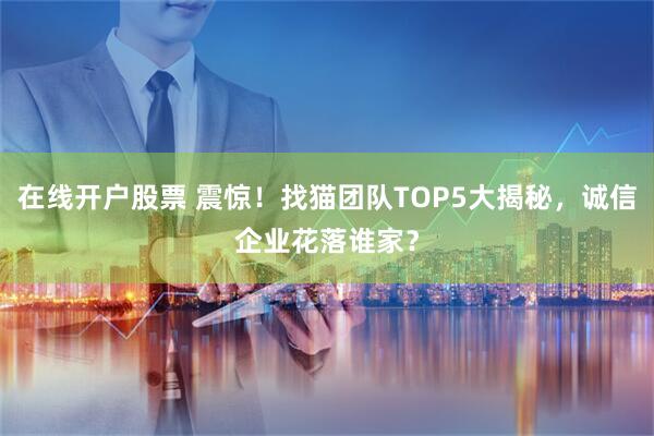 在线开户股票 震惊！找猫团队TOP5大揭秘，诚信企业花落谁家？