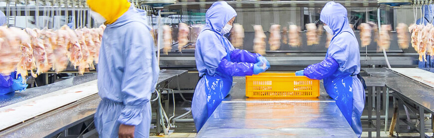 中国·7790必发集团(股份)有限公司-官方网站