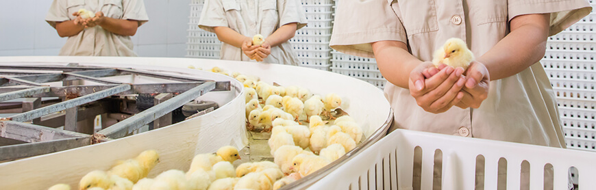 中国·7790必发集团(股份)有限公司-官方网站