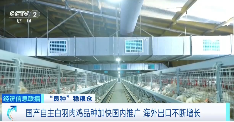 中国·7790必发集团(股份)有限公司-官方网站