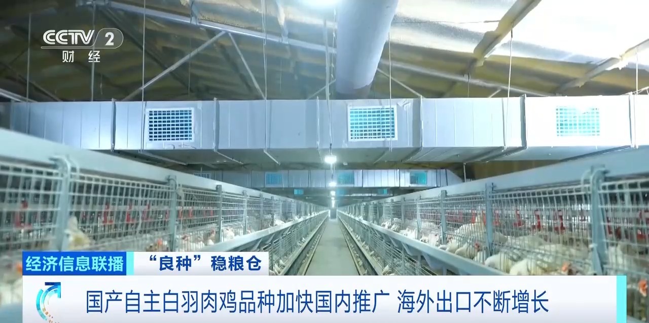 中国·7790必发集团(股份)有限公司-官方网站