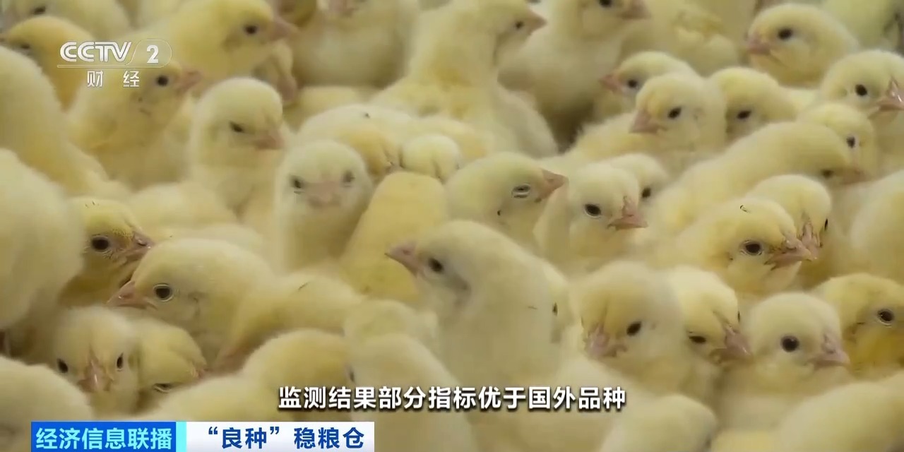 中国·7790必发集团(股份)有限公司-官方网站