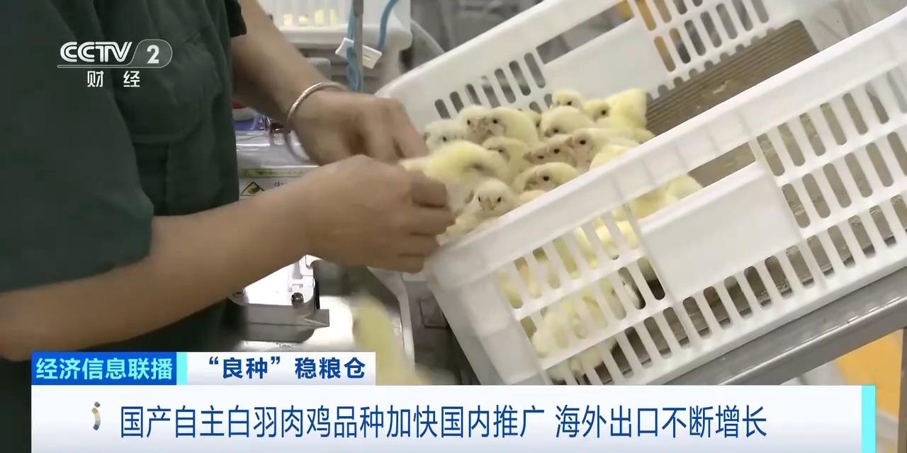 中国·7790必发集团(股份)有限公司-官方网站