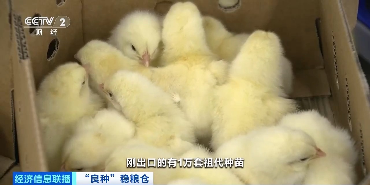 中国·7790必发集团(股份)有限公司-官方网站